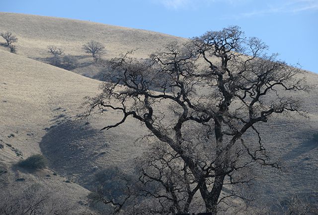 california-predicted-record-drought-400-years-wovow.org-03