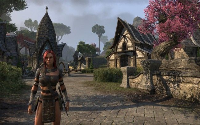 elder-scrolls-online-mmog-skuumoy-khajiit-wovow.org-08