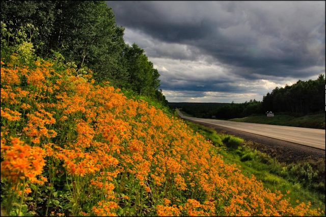 The most attractive places in Newfoundland