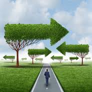 Profitable whether the spot Forex market?