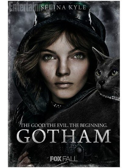 Gotham : heroes and villains closeup