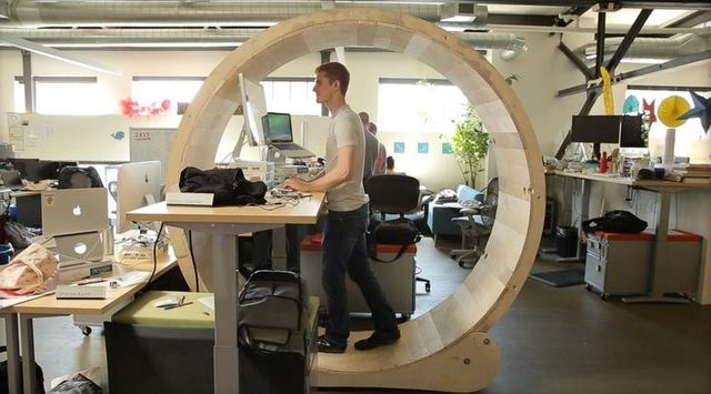 Hamster Wheel - workplace for office protein