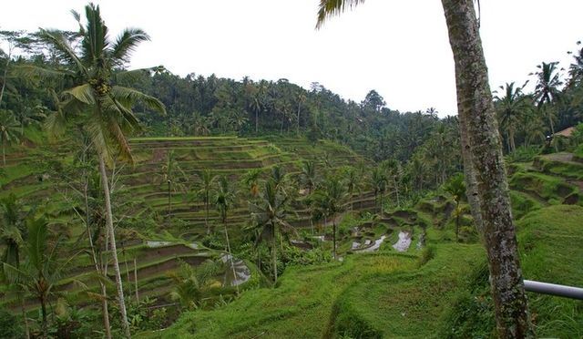 Holidays in Bali Indonesia: What is important to know