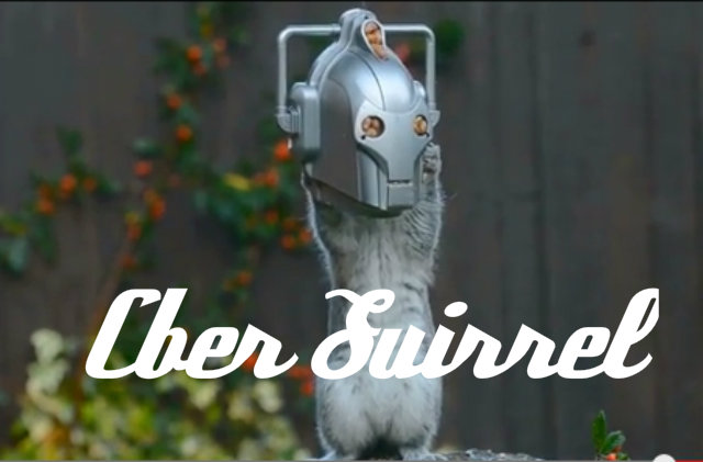 Englishwoman made ​​from the usual voracious animal formidable cyber squirrel