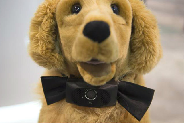 "Smart" Collar for Dogs