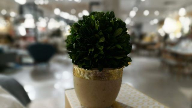 Photo on Huawei Honor 6X Review