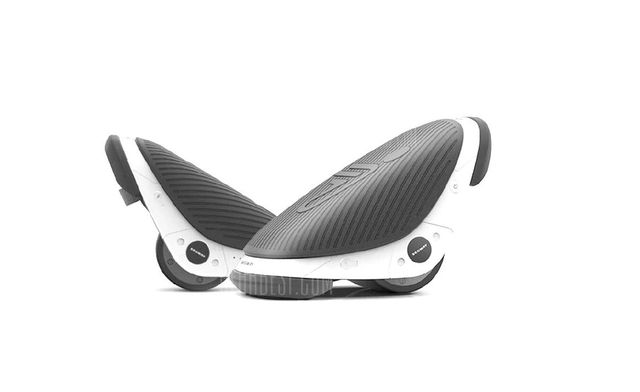Ninebot Segway W1