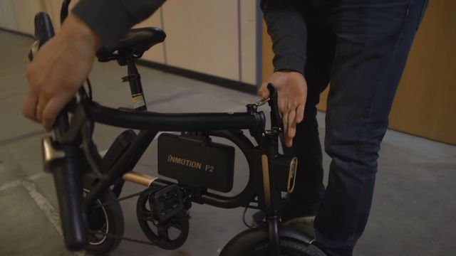 inmotion e bike
