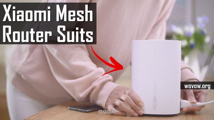 Xiaomi Mesh Router Suits First REVIEW: What's Wi-Fi Mesh System?