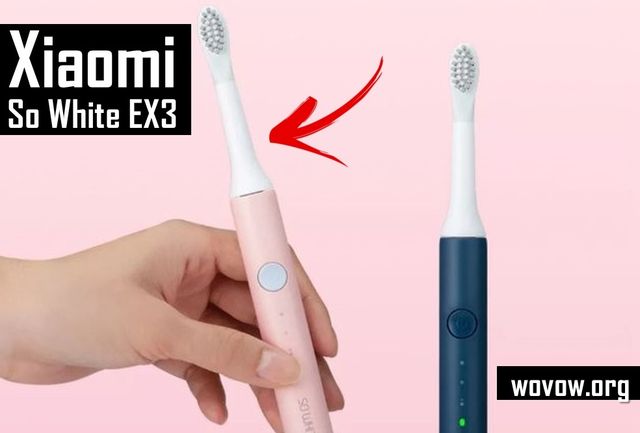 first electric toothbrush