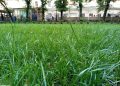 Oukitel K12 real sample photos