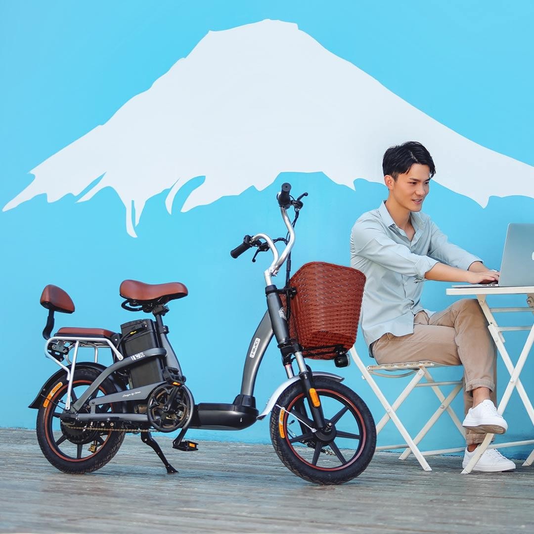 HIMO C16 12Ah 48V 250W 16 Inches Electric Bike