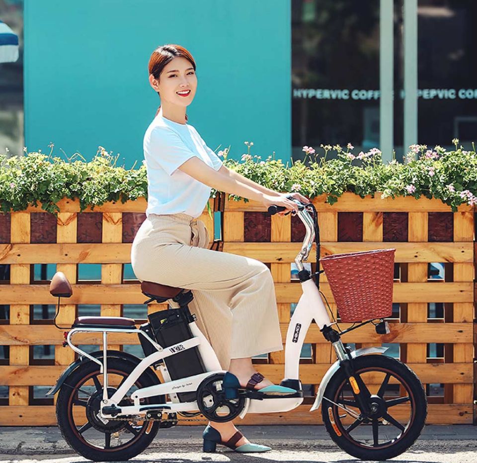 HIMO C16 16 inch Electric Bicycle