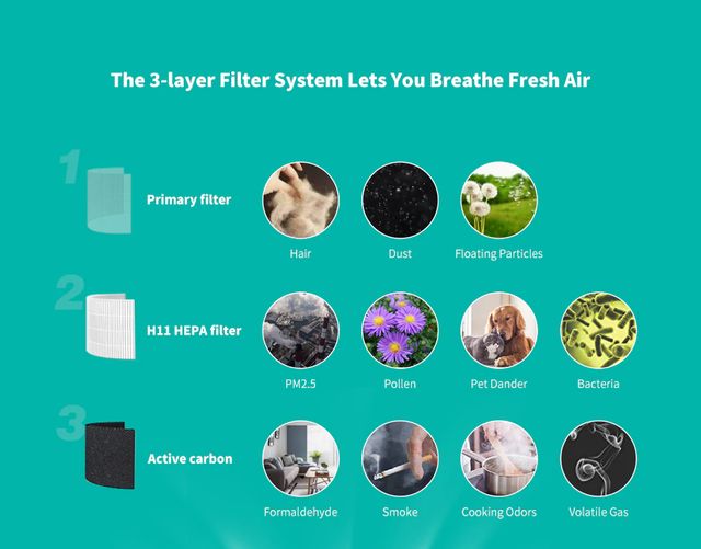 Alfawise P2 REVIEW In-Depth & Unboxing: The Best Air Purifier Under $100!